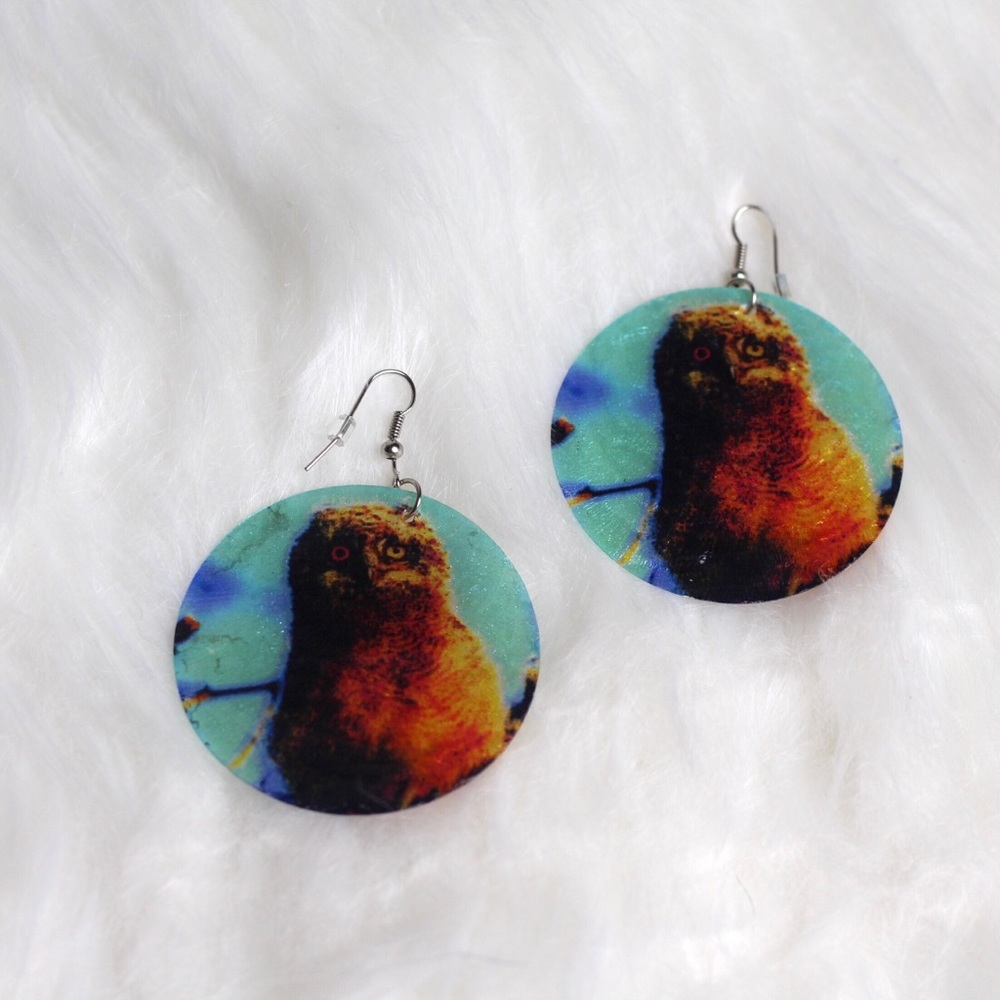 Owl Earrings